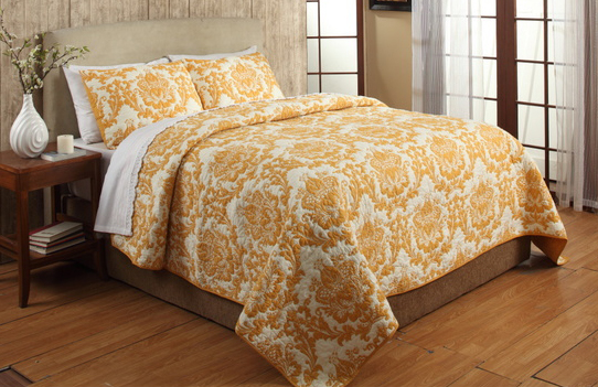 http://www.overstock.com/Bedding-Bath/Eloisa-Orange-Cotton-3-piece-Quilt-Set from Overstock