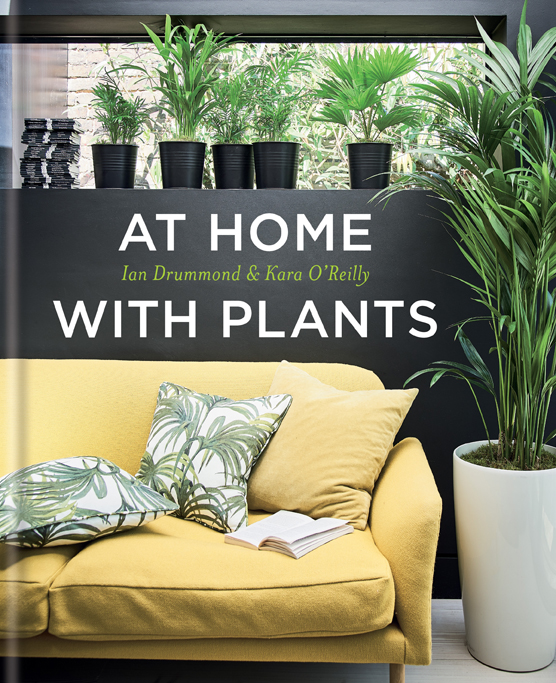 at-home-with-plants-book-cover-plants-in-the-movies-film-and-furniture-small